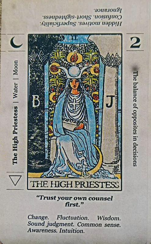 TARO KORTOS 78 Meaning Tarot (Su paaiškinimais) - , stalo žaidimas 4