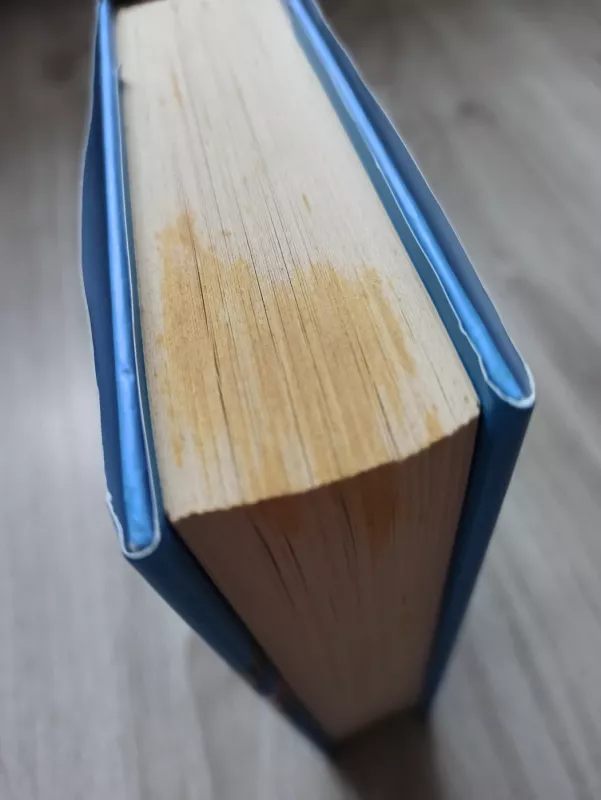 Geriausios draugės - Irena Buivydaitė, knyga 3