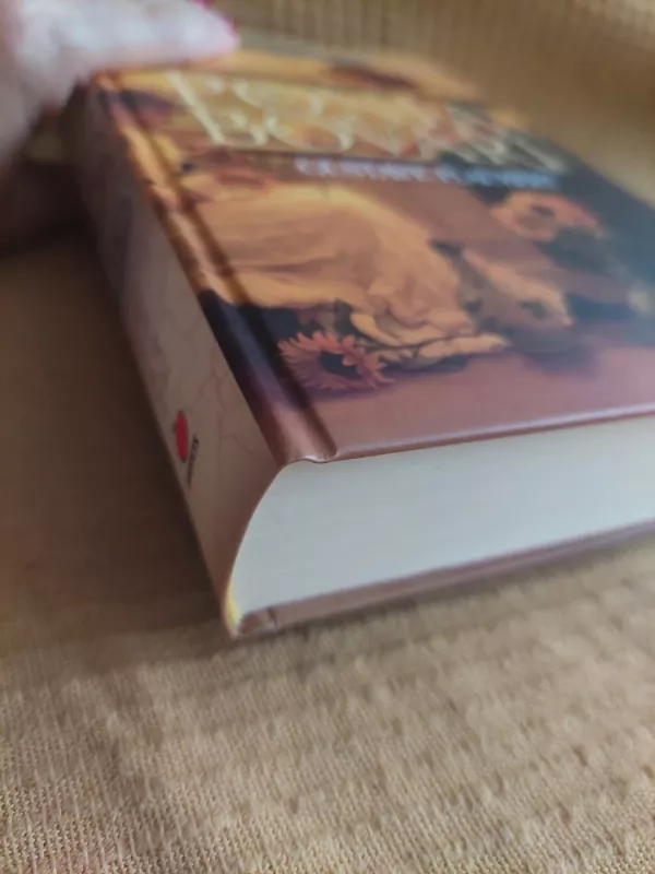 Ponia Bovari - Gustave Flaubert, knyga 6