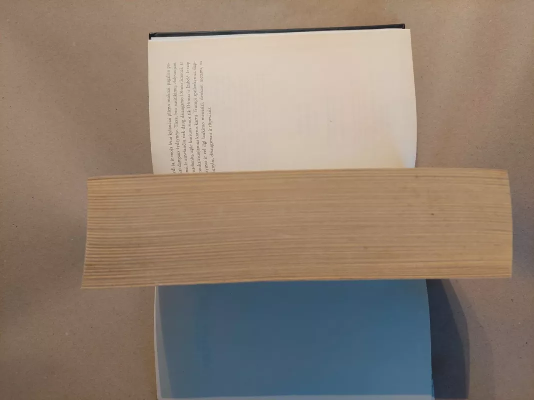 Per aspera... - Rima Urmetzer, knyga 3