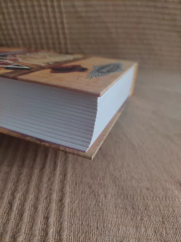 Ponia Bovari - Gustave Flaubert, knyga 4