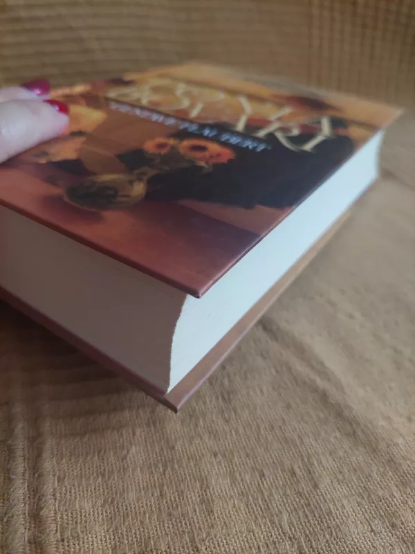 Ponia Bovari - Gustave Flaubert, knyga 5