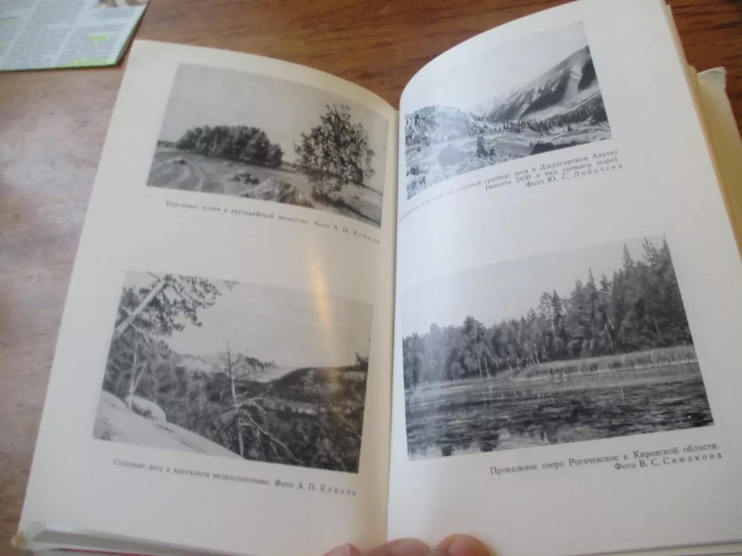 TSRS medžioklės ūkis (rusų k.) - N. n. Grankov, knyga 6