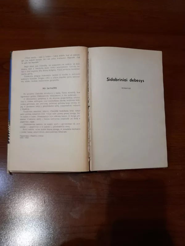 Romantikai. Sidabriniai debesys - Konstantinas Paustovskis, knyga 4