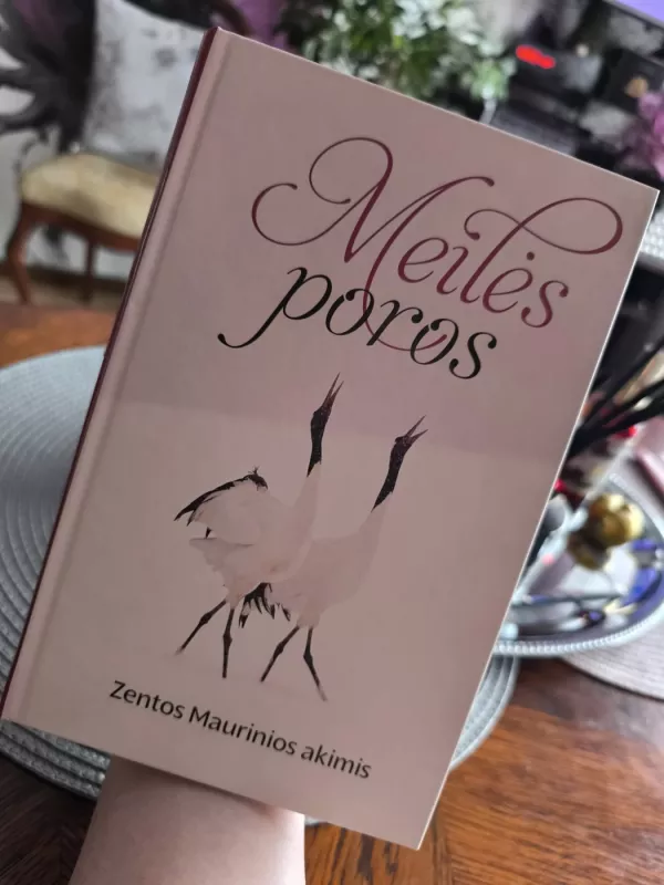 Meilės poros Zentos Maurinos akimis - Ingrida Sokolova, knyga 3