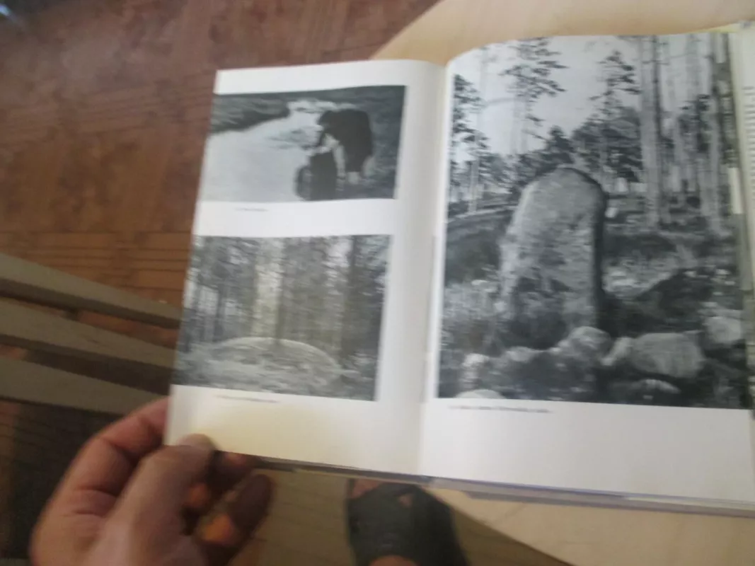 Dieveniškės - Autorių Kolektyvas, knyga 5