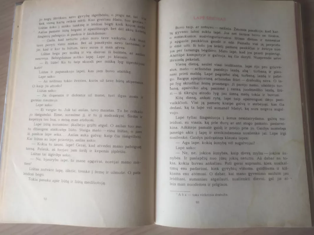 Migdolo medis - Autorių Kolektyvas, knyga 4