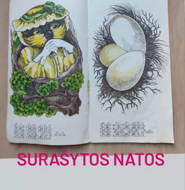 Graži ponia pelėda - Autorių Kolektyvas, knyga 3