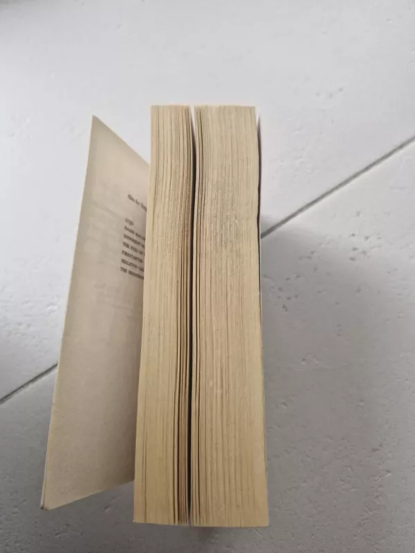 The Dead Zone - Stephen King, knyga 4