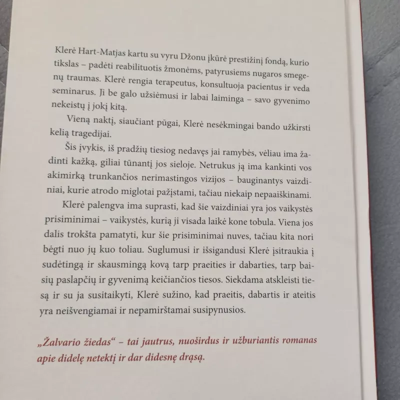 Žalvario žiedas - Diane Chamberlain, knyga 3