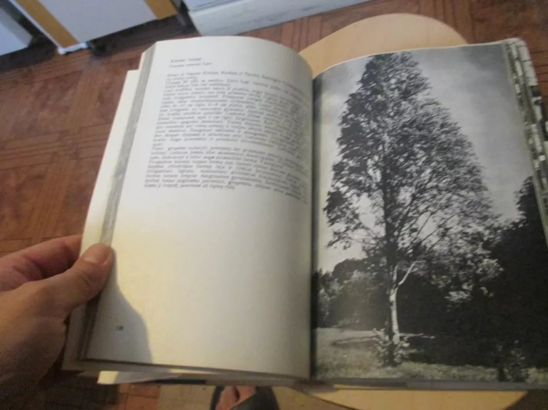 Lietuvos medžiai - Algirdas Navasaitis, knyga 6