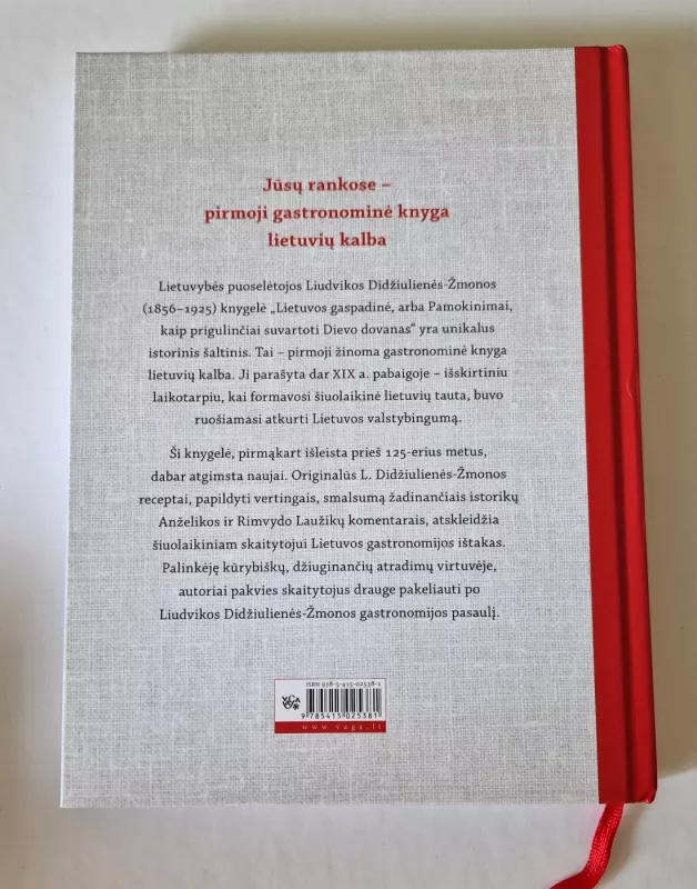 Lietuvos gaspadinė - Liudvika Didžiulienė-Žmona, knyga 4