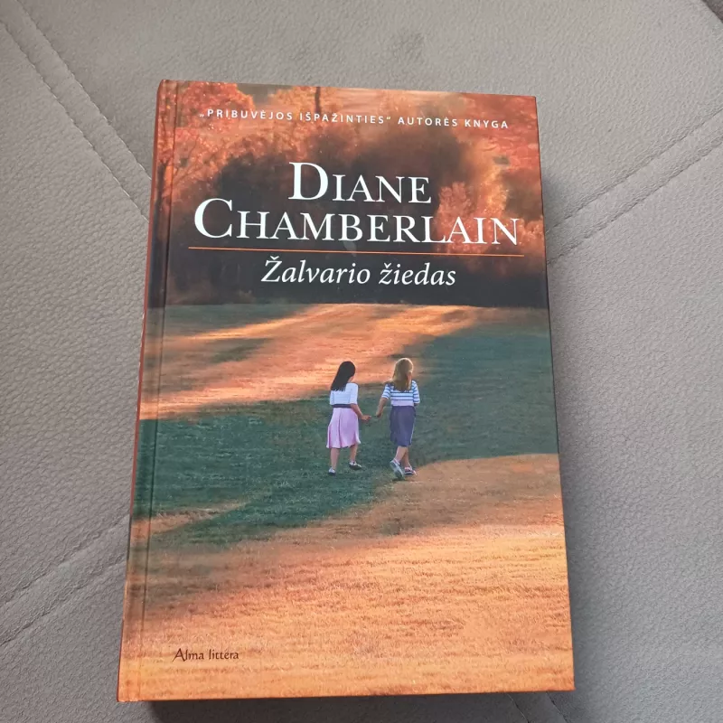 Žalvario žiedas - Diane Chamberlain, knyga 2