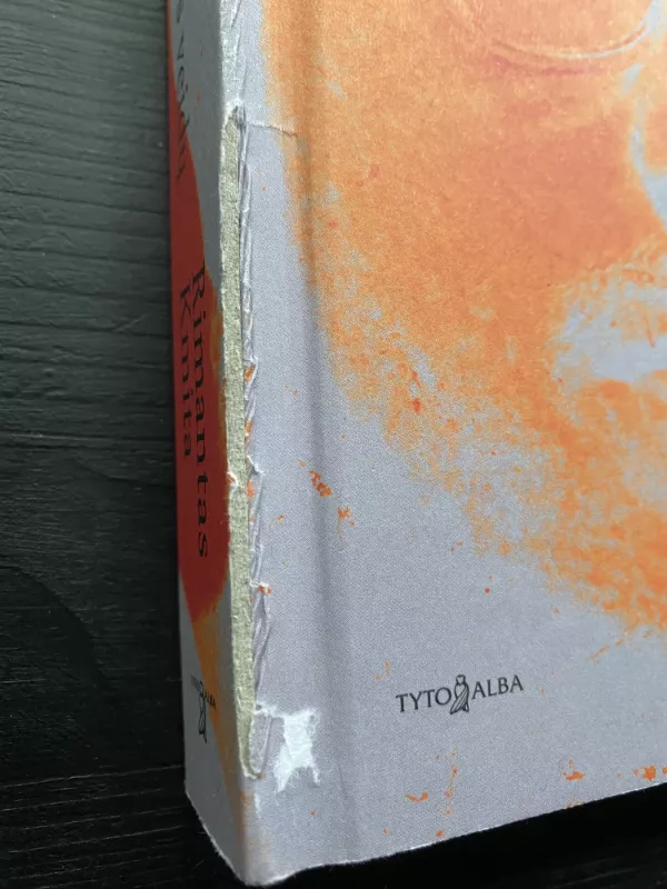 Ugnies giesmės. Tūkstantis Sigito Gedos veidų - Rimantas Kmita, knyga 2