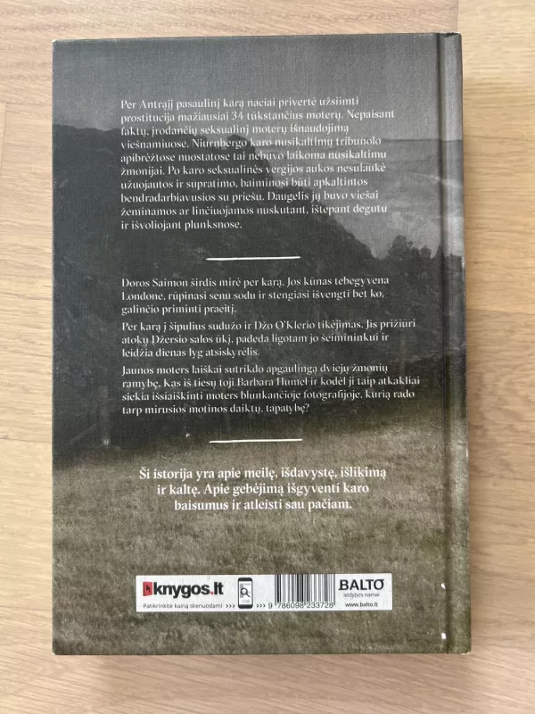 Paslėpta - Mary Chamberlain, knyga 3