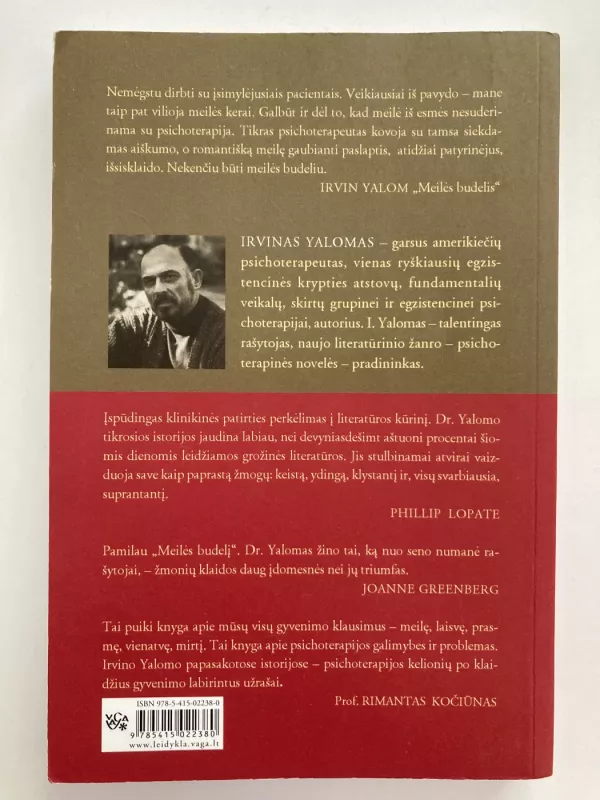 Meilės budelis ir kitos psichoterapinės istorijos - Irvin D. Yalom, knyga 3