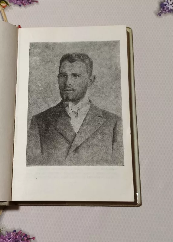 Raštai I tomas - Jonas Biliūnas, knyga 4