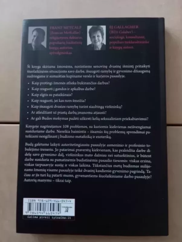 Būti Buda darbe - Franz Metcalf, knyga 3