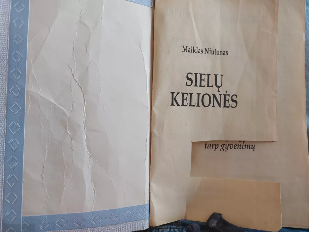 Sielų kelionės - Newton Michael, knyga 4