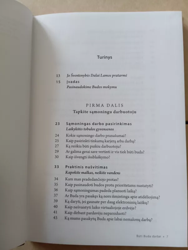 Būti Buda darbe - Franz Metcalf, knyga 5