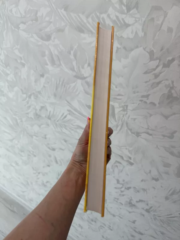 Didžioji vaikų žaidimų ir darbelių knyga - Autorių Kolektyvas, knyga 3