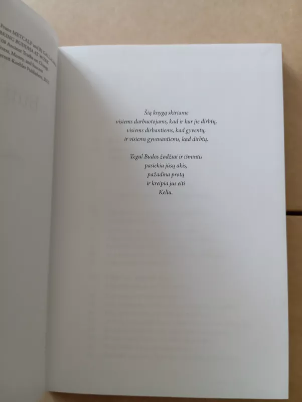 Būti Buda darbe - Franz Metcalf, knyga 4