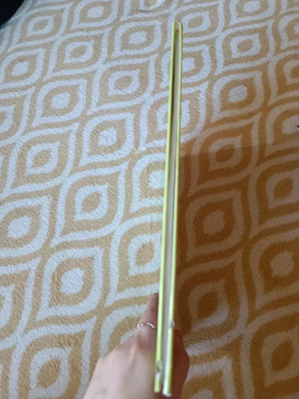 Gianlorenzo Bernini - Jan Bialostocki, knyga 5