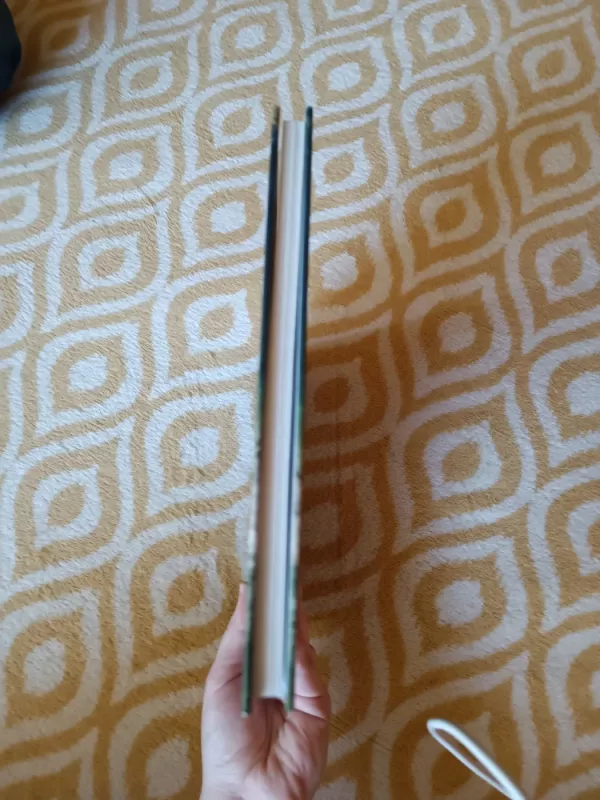 Klaipėdos rajonas: Atveria Horizontus - Andrius Kundrotas, knyga 4