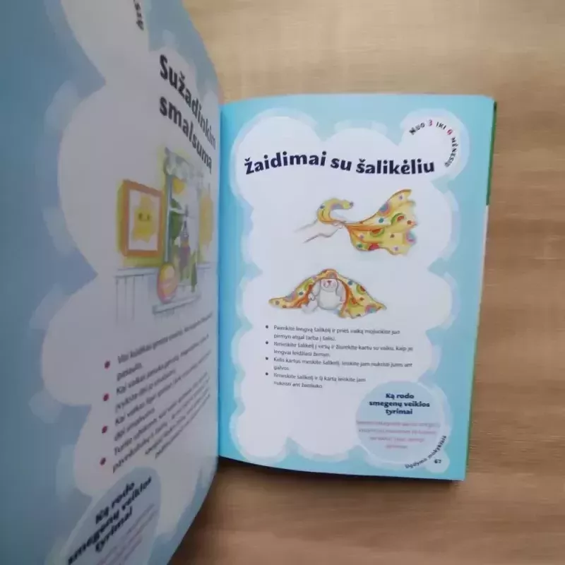 Vaiko smegenų mankšta nuo gimimo iki 3 metų - Silberg Jackie, knyga 5