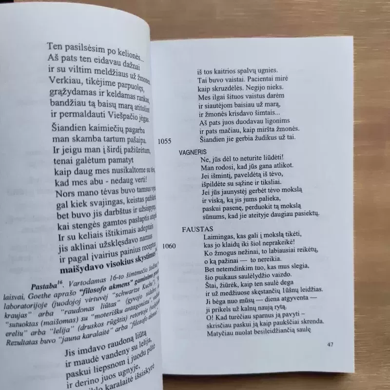 FAUSTAS - Johann Wolfgang Goethe, knyga 5