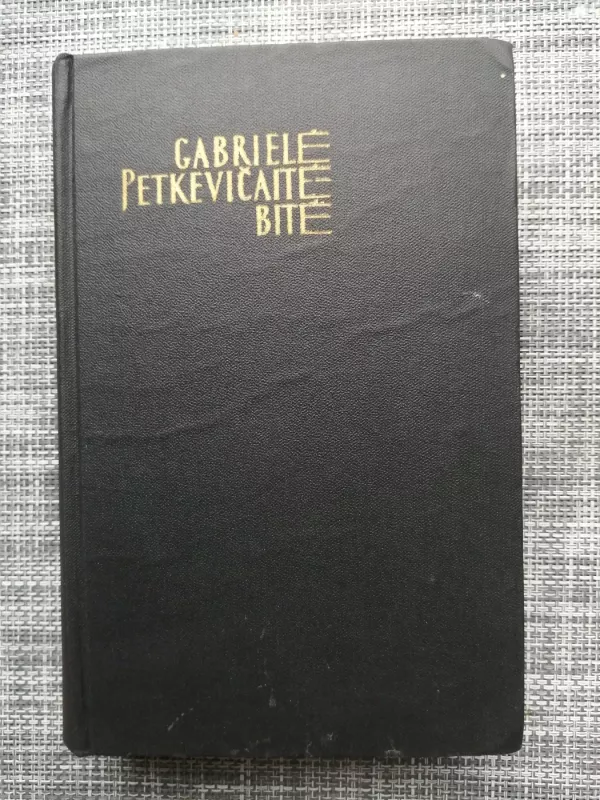 Karo metų dienoraštis - Gabrielė Petkevičaitė-Bitė, knyga 2