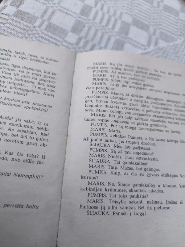 Vestuvių naktis. Į liūtą panašus - Elmaras Ansonas, knyga 3