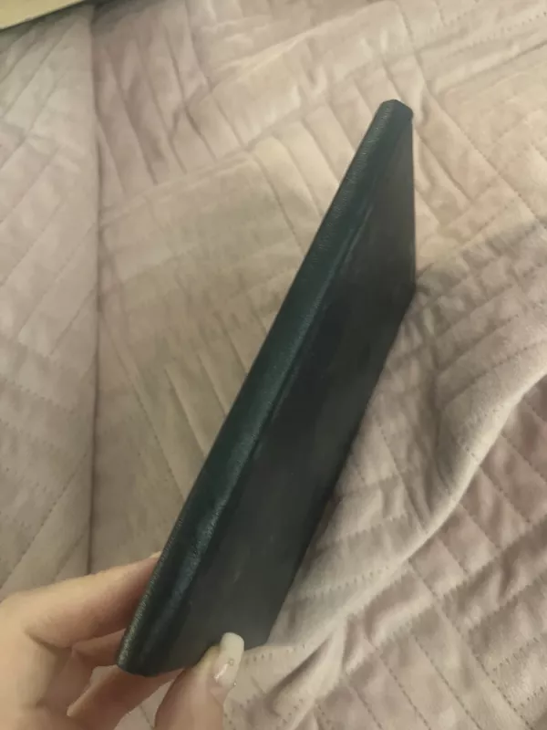 Lyrika - Fiodoras Tiutčevas, knyga 6