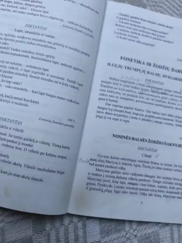 Diktantai V - XII klasei - D. Drąsutavičienė, D. Markauskienė, knyga 3