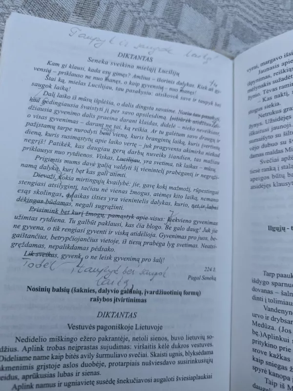 Diktantai V - XII klasei - D. Drąsutavičienė, D. Markauskienė, knyga 4