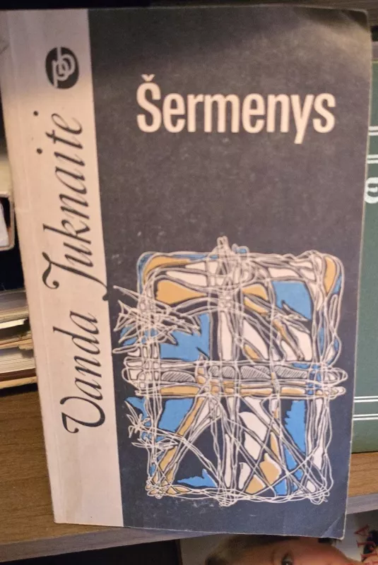 Šermenys - Vanda Juknaitė, knyga 2