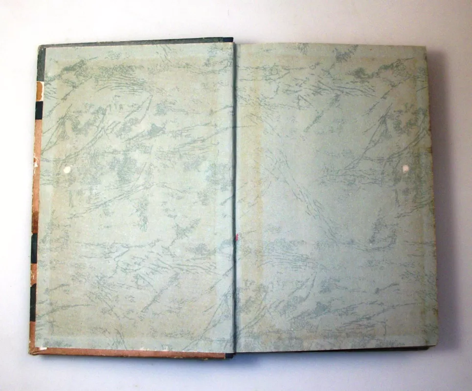 Plutonija - Vladimiras Obručevas, knyga 4