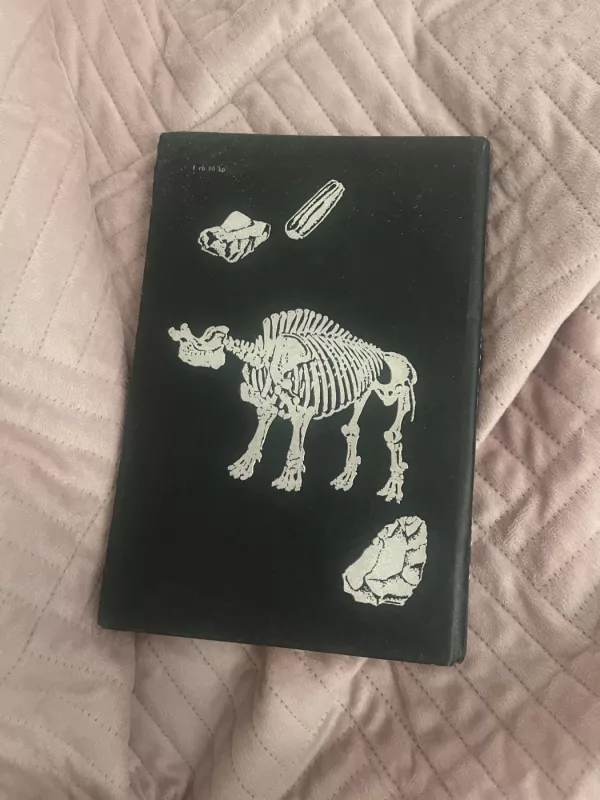 Žemės istorija - Ričardas Fosteris Flintas, knyga 4