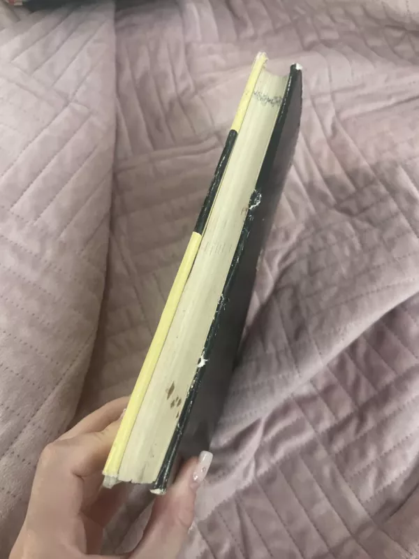 Montažai - Eduardas Mieželaitis, knyga 5