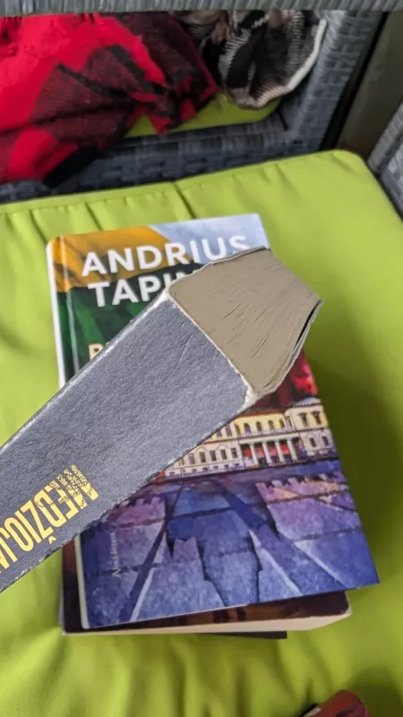 Medžiojant tėvą - Dovydas Pancerovas, knyga 2