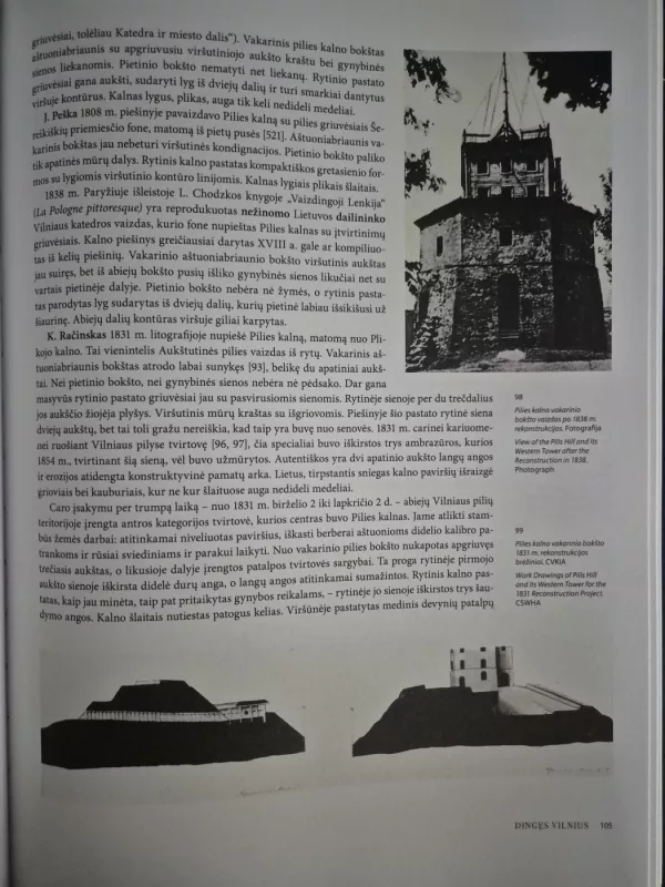 Dingęs Vilnius - Vladas Drėma, knyga 6