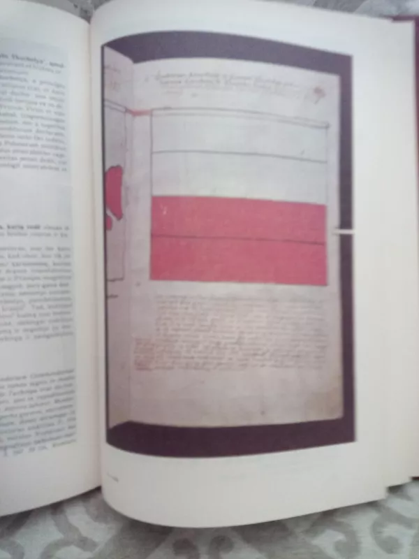 Jono Dlugošo „Prūsų vėliavos“ Žalgirio mūšio šaltinis - Sven Ekdahl, knyga 5