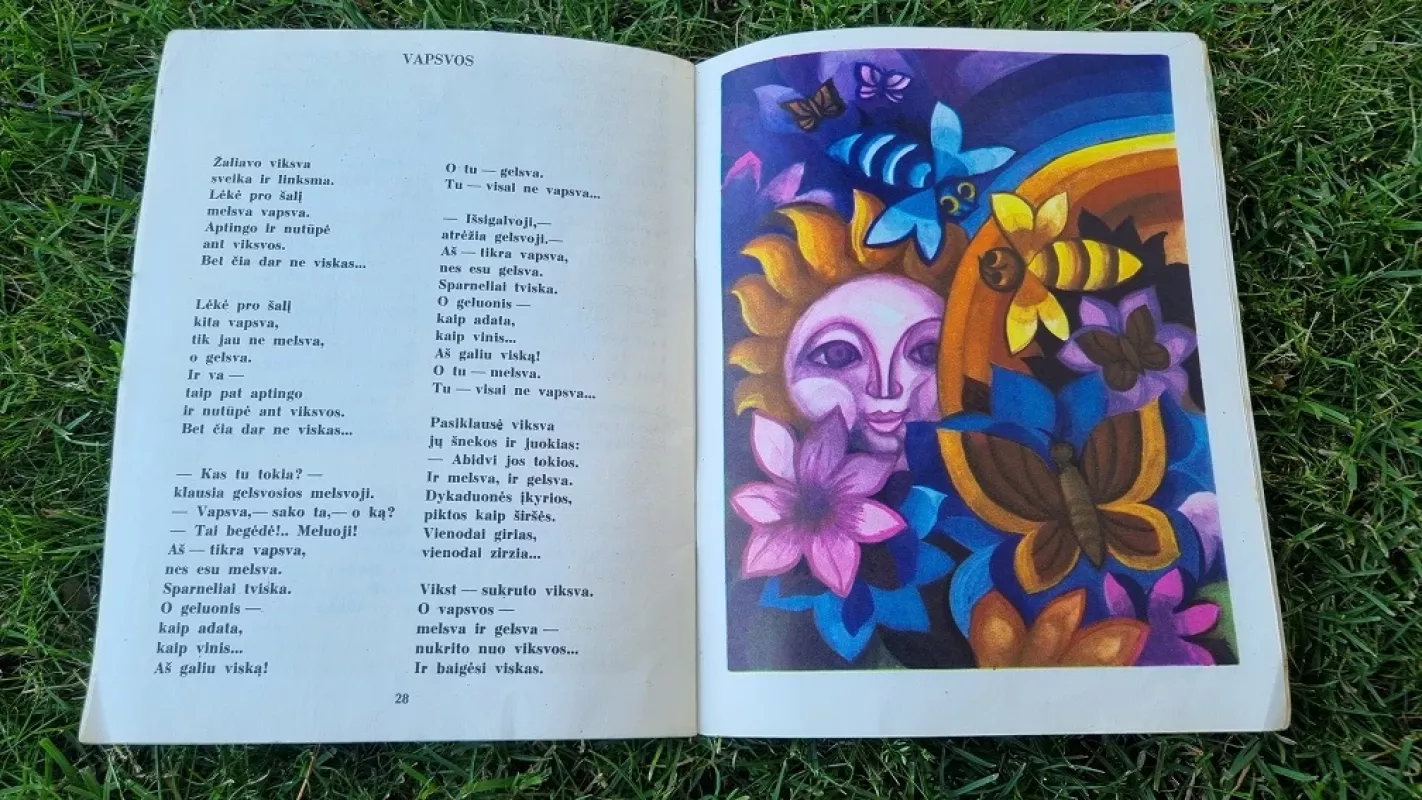 Žalias orkestras - Aleksas Dabulskis, knyga 5