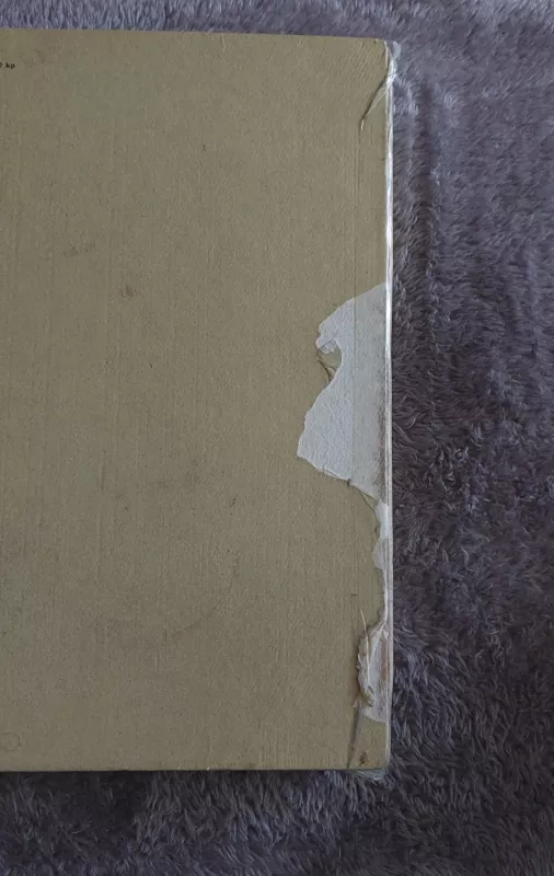 Bilietas iš dangaus - Juozas Erlickas, knyga 3