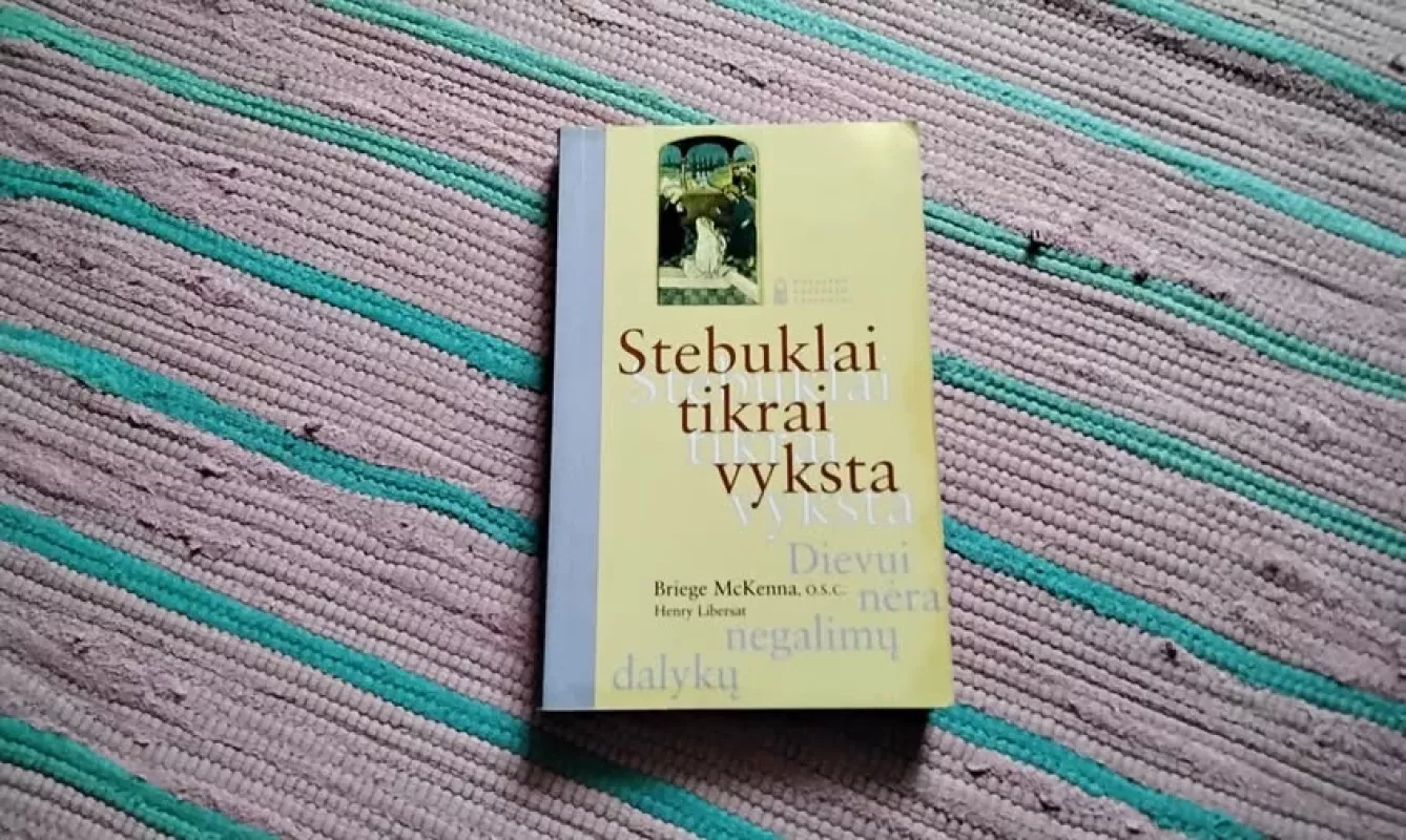 Stebuklai tikrai vyksta - Briege McKenna, knyga 3
