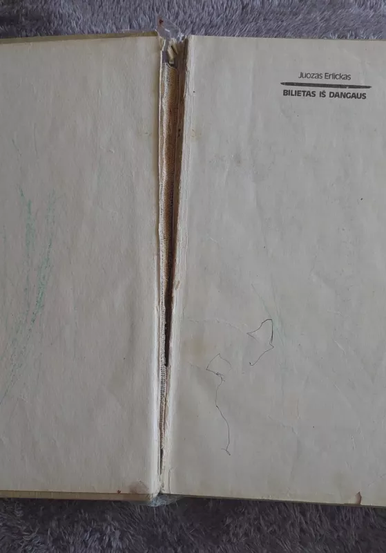 Bilietas iš dangaus - Juozas Erlickas, knyga 4