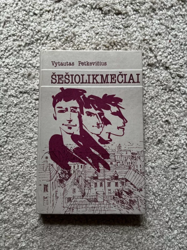 Šešiolikmečiai - Vytautas Petkevičius, knyga 2