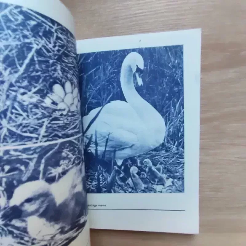 Gulbės Lietuvoje - Vytautas Nedzinskas, knyga 3