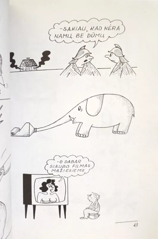 Ironiškos šypsenos - Algirdas Radvilavičius, knyga 5