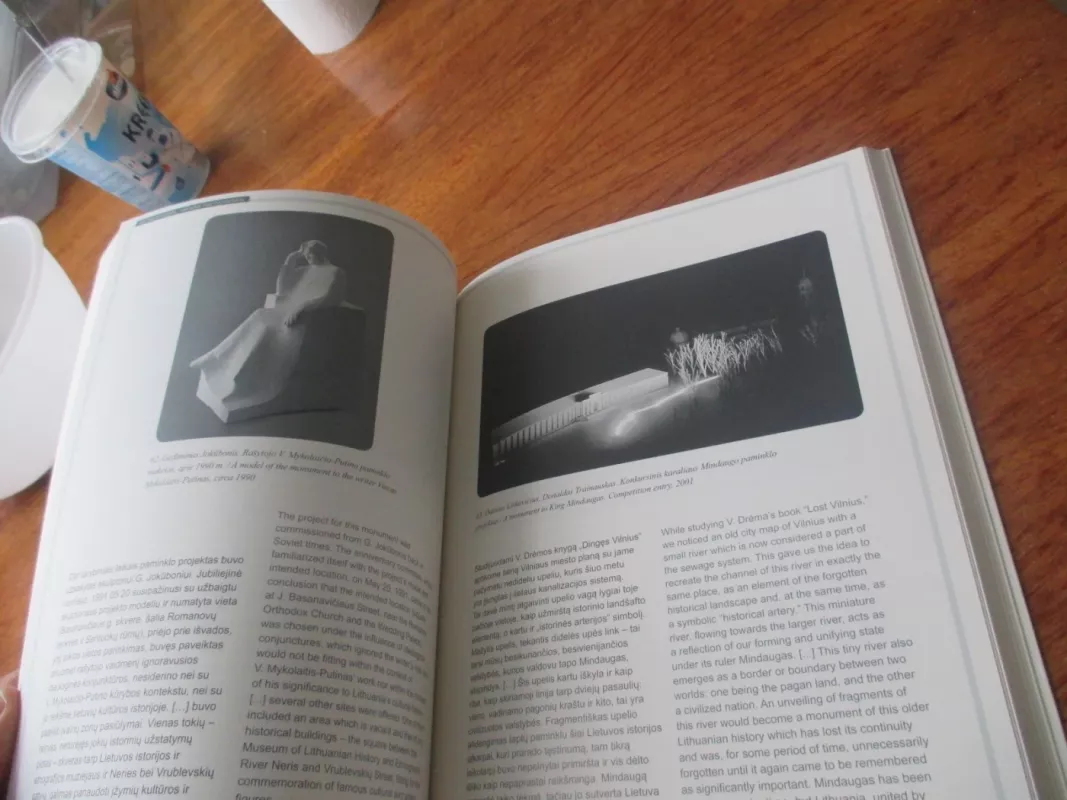 Vilniaus paminklai. Kaitos istorija/ Vilnius Monuments. A Stroy of Change - Autorių Kolektyvas, knyga 5